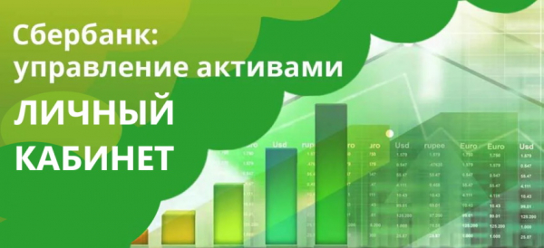 Личный кабинет Сбербанк управление активами: регистрация аккаунта, использование мобильного приложения Личный кабинет Сбербанк управление активами: регистрация аккаунта, использование мобильного приложения