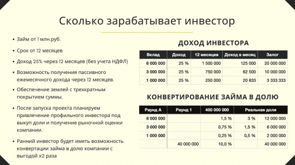 Конвертируемый займ: преимущества и недостатки, условия для инвестора Конвертируемый займ: преимущества и недостатки, условия для инвестора