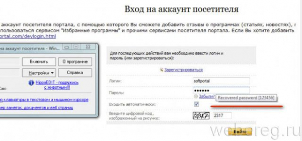 Как показать пароль вместо звездочек Как показать пароль вместо звездочек