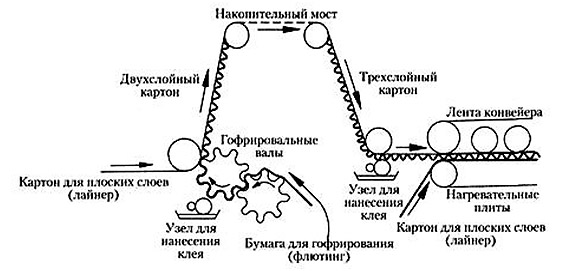 Производство гофрокартона и упаковки: бизнес-план