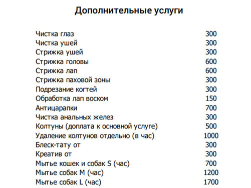 Как с нуля открыть салон красоты для кошек?