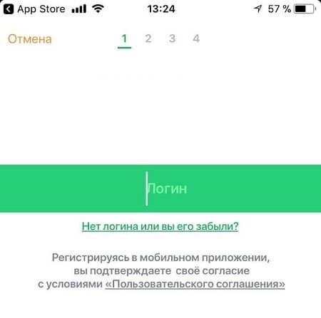Как скачать и установить мобильное приложение Сбербанк Онлайн Как скачать и установить мобильное приложение Сбербанк Онлайн