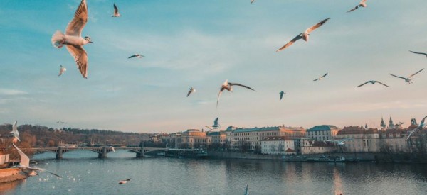 В Праге дешевеет аренда жилья