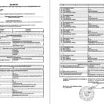 Как получить ипотеку индивидуальному предпринимателю? Как получить ипотеку индивидуальному предпринимателю?