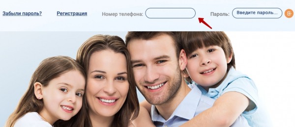 АО «Интер РАО – Электрогенерация» – регистрация личного кабинета и вход в него АО «Интер РАО – Электрогенерация» – регистрация личного кабинета и вход в него