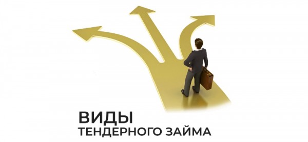 Оформление тендерного займа на исполнение контракта: основные правила, список необходимых документов