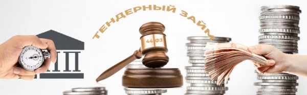 Оформление тендерного займа на исполнение контракта: основные правила, список необходимых документов
