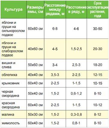 ТОП-8 составляющих бизнес-плана питомника растений