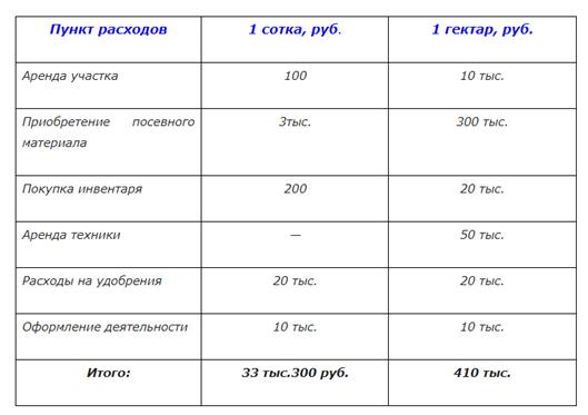 5 производственных моментов бизнеса на чесноке 5 производственных моментов бизнеса на чесноке