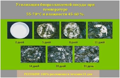 4 шага для производства биоразлагаемой одноразовой посуды