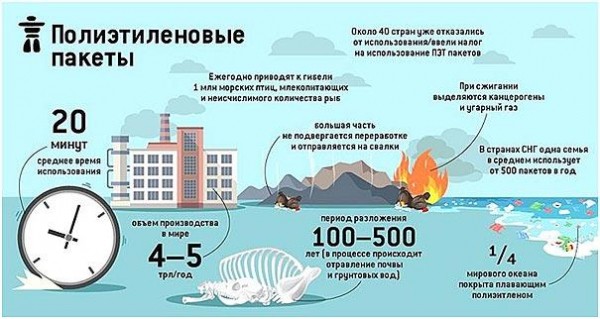 7 этапов запуска бизнеса по производству эко пакетов