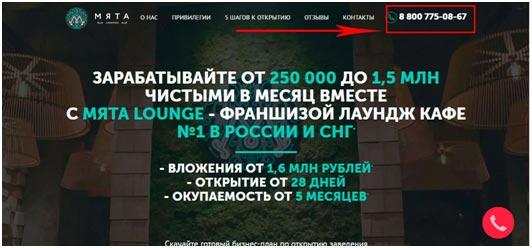 5 этапов для получения франшизы от Мяты