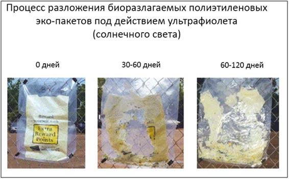 7 этапов запуска бизнеса по производству эко пакетов