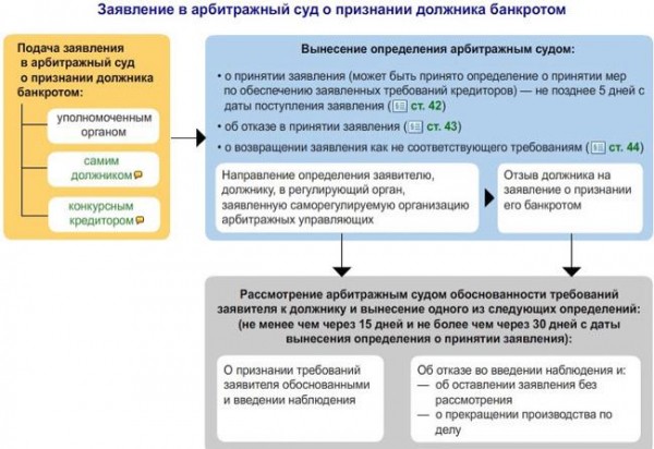 Как объявить себя банкротом: пошаговый алгоритм действий