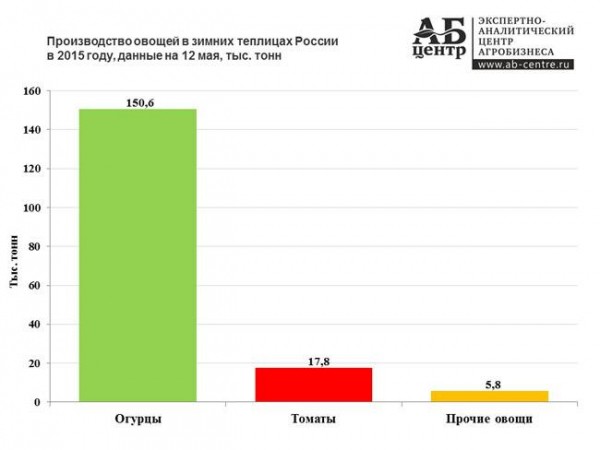 Бизнес план тепличного хозяйства: подробно Бизнес план тепличного хозяйства: подробно