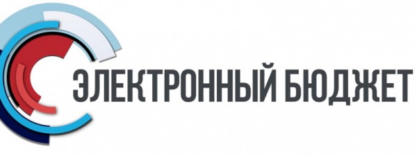 Личный кабинет &laquo;Электронный бюджет&raquo;: регистрация и вход по сертификату