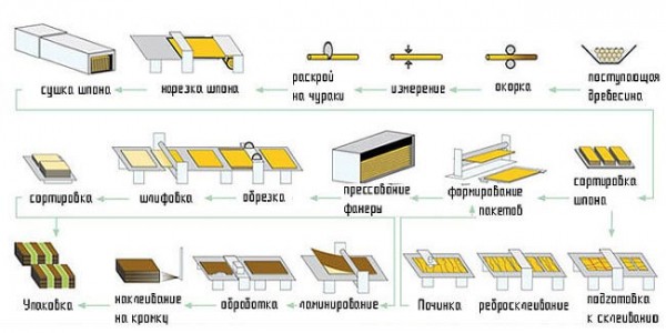 Производство фанеры: этапы изготовления и необходимое оборудование Производство фанеры: этапы изготовления и необходимое оборудование
