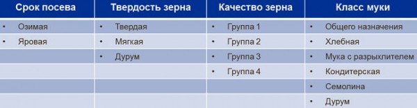 Как открыть мельницу с нуля: этапы, оборудование, доход