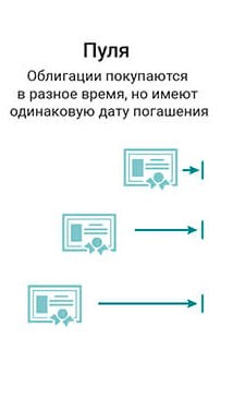 Как купить облигации: инструкция для новичков
