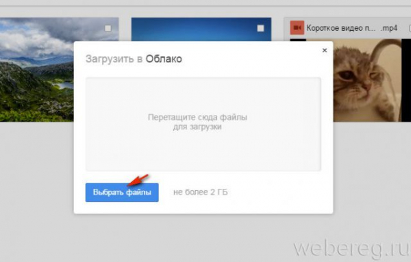 Где и как хранить пароли и логины