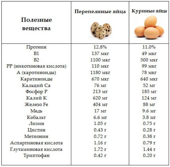 Перепелиный бизнес: безотходное производство и высокая рентабельность