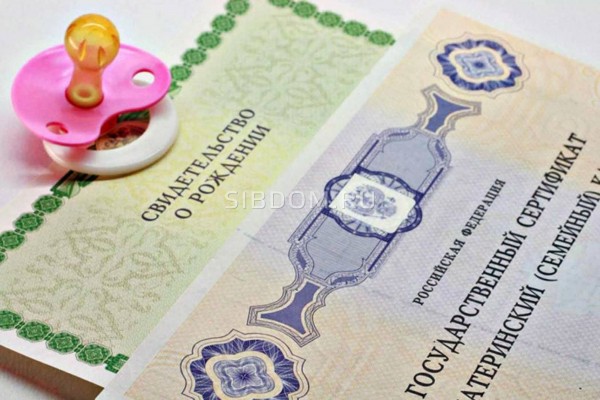 Сократились сроки выдачи информации о сумме материнского капитала в Пенсионном фонде
