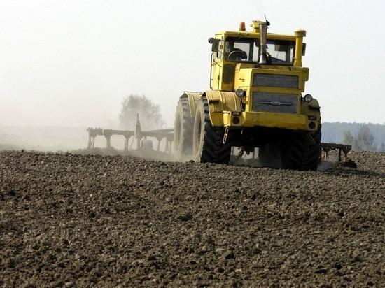 На Украине спрогнозировали потерю 30% урожая из-за нехватки химикатов