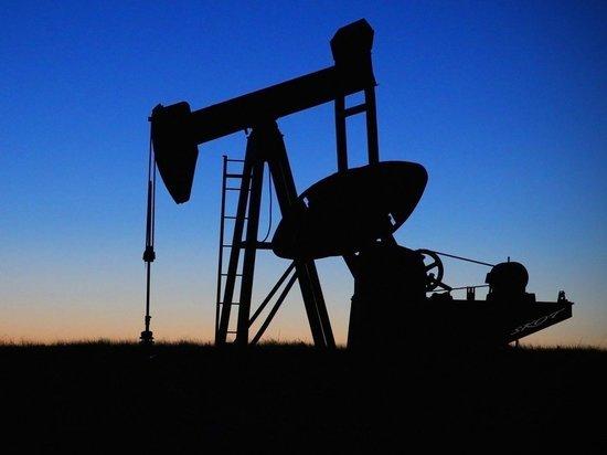 Trafigura продает российскую нефть Urals с рекордным дисконтом Trafigura продает российскую нефть Urals с рекордным дисконтом