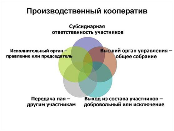 ТОП-3 варианта, в каких формах можно организовать бизнес ТОП-3 варианта, в каких формах можно организовать бизнес