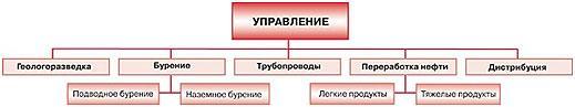 ТОП-3 варианта, в каких формах можно организовать бизнес ТОП-3 варианта, в каких формах можно организовать бизнес