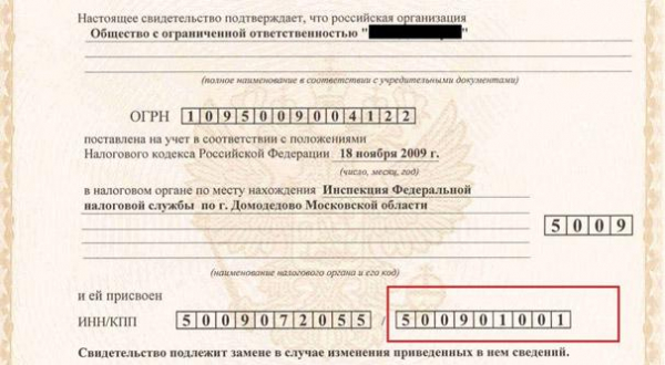 Как узнать КПП по ИНН: 5 источников информации