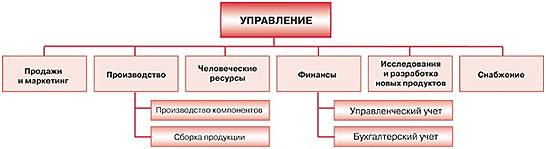 ТОП-3 варианта, в каких формах можно организовать бизнес ТОП-3 варианта, в каких формах можно организовать бизнес