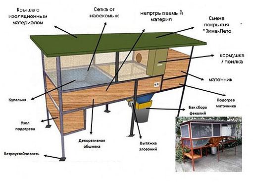 3 этапа разведения нутрий в домашних условиях