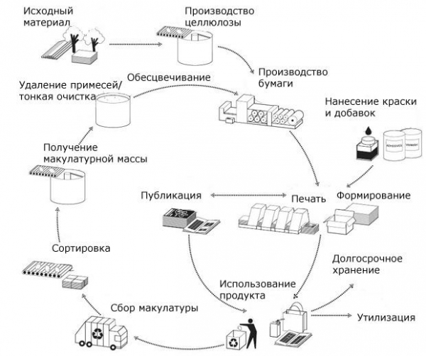 Переработка макулатуры: как делать деньги из мусора? Переработка макулатуры: как делать деньги из мусора?