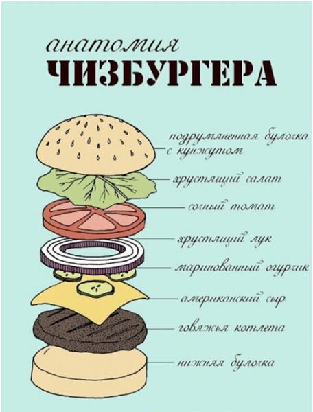 Как открыть бургерную: бизнес проект с расчетами Как открыть бургерную: бизнес проект с расчетами