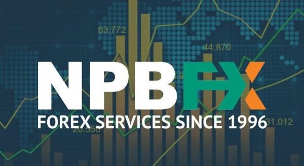 Войти в личный кабинет NPBFX