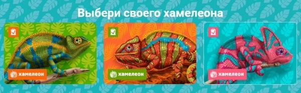 Бонусная карта Хамелеон от сети магазинов &laquo;Белмаркет&raquo; &mdash; регистрация и вход ч личный кабинет