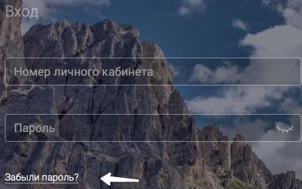 Руководство по регистрации личного кабинета на Альфа-Форекс Руководство по регистрации личного кабинета на Альфа-Форекс