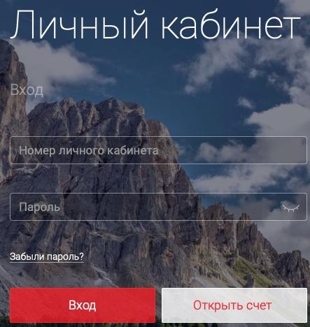Руководство по регистрации личного кабинета на Альфа-Форекс Руководство по регистрации личного кабинета на Альфа-Форекс