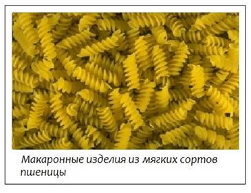Оборудование для производства макаронных изделий: перечень
