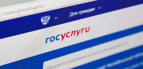 На Госуслугах можно сообщить об ошибочных долгах