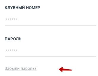 Коралловый клуб – преимущества личного кабинета Коралловый клуб – преимущества личного кабинета