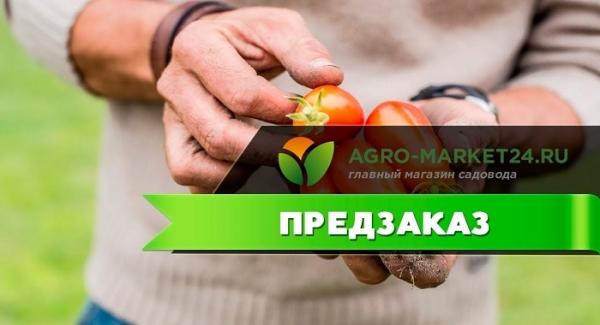 Как через официальный сайт войти в личный кабинет АгроМаркет 24