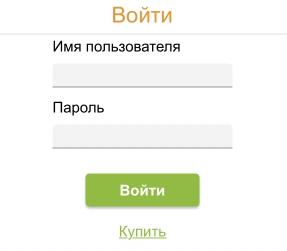 &laquo;Бизнес-Инфо&raquo; &mdash; регистрация и вход в личный кабинет