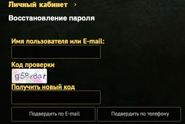 PandaWoW: регистрация и функции личного кабинета