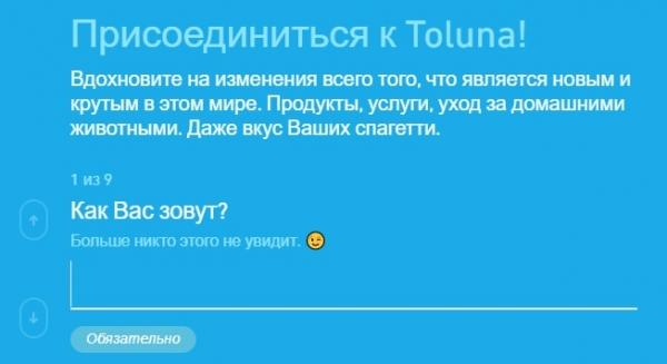 Заработок на &laquo;Толуна&raquo;: вход в личный кабинет