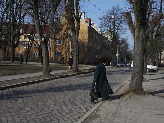 Стало известно, как увеличение трудового стажа может привести к уменьшению пенсии Стало известно, как увеличение трудового стажа может привести к уменьшению пенсии