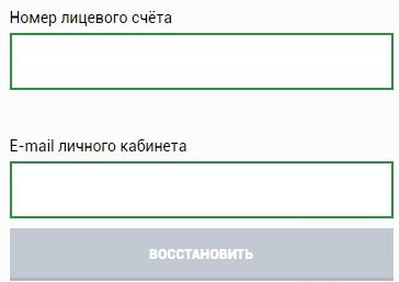 Пошаговые инструкции по ЛК сайта ТНС Энерго Ростов