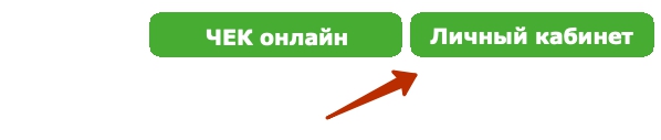 ЕТК 55 ру – регистрация и возможности личного кабинета пассажира ЕТК 55 ру – регистрация и возможности личного кабинета пассажира