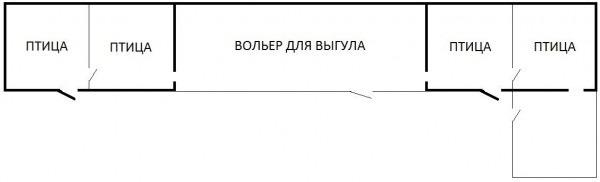 Индюки как бизнес: пошаговый план действий